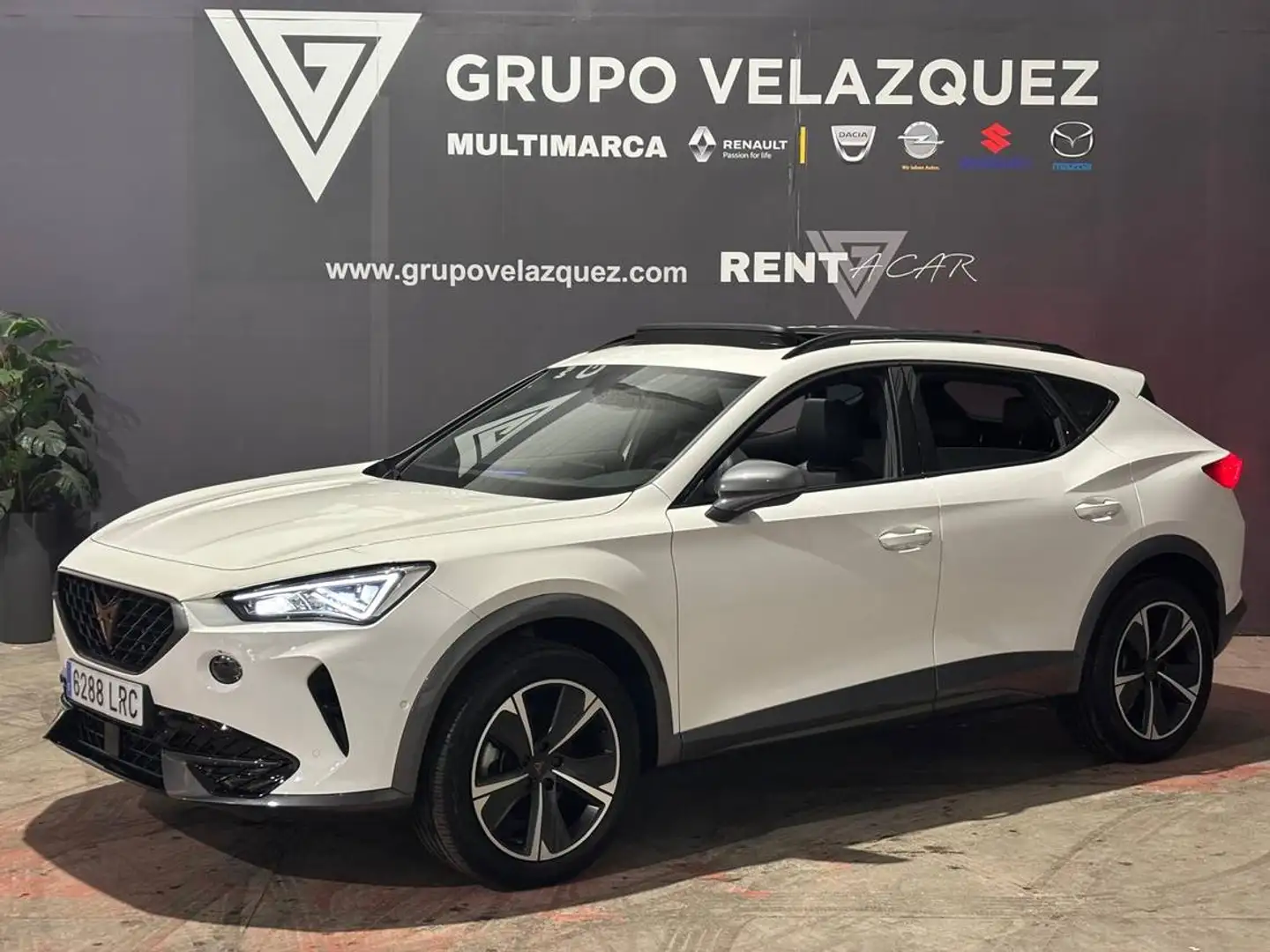 CUPRA Formentor 1.5 TSI 150 DSG Weiß - 1