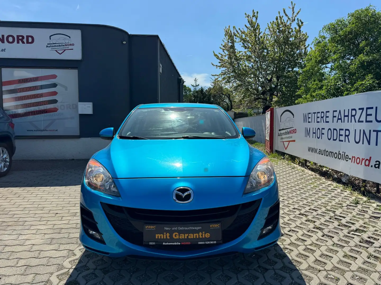 Mazda 3 *TAKUMI *wenig KM *PICKERL-NEU * SERVICE - NEU * Blau - 2