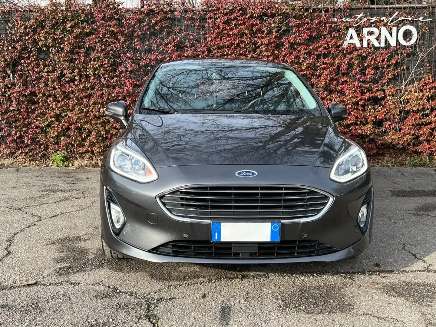 Ford Fiesta 1.5 EcoBlue 5 porte titanium Gris - 2