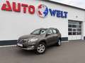 Toyota RAV 4 4 2.0 Basis Klima AHK AUX Braun - thumbnail 30