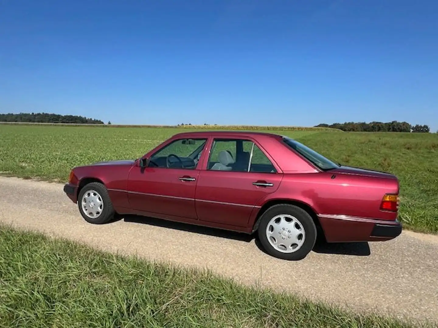 Mercedes-Benz 250 250 Roşu - 2