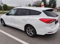Ford Focus Focus Traveller 1,5 EcoBlue Trend Edition Business Aut. Trend Edition Business Weiß - thumbnail 2