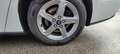 Ford Focus Focus Traveller 1,5 EcoBlue Trend Edition Business Aut. Trend Edition Business Weiß - thumbnail 7