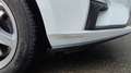 Ford Focus Focus Traveller 1,5 EcoBlue Trend Edition Business Aut. Trend Edition Business Weiß - thumbnail 8