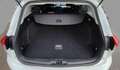 Ford Focus Focus Traveller 1,5 EcoBlue Trend Edition Business Aut. Trend Edition Business Weiß - thumbnail 11