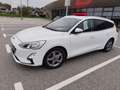 Ford Focus Focus Traveller 1,5 EcoBlue Trend Edition Business Aut. Trend Edition Business Weiß - thumbnail 1