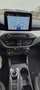 Ford Focus Focus Traveller 1,5 EcoBlue Trend Edition Business Aut. Trend Edition Business Weiß - thumbnail 6
