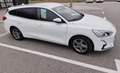 Ford Focus Focus Traveller 1,5 EcoBlue Trend Edition Business Aut. Trend Edition Business Weiß - thumbnail 4