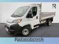 Fiat Ducato Dreiseitenkipper 35 L2 Maxi Bianco - thumbnail 1