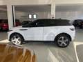 Land Rover Range Rover Evoque Bianco - thumbnail 7