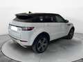 Land Rover Range Rover Evoque Bianco - thumbnail 6
