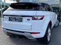 Land Rover Range Rover Evoque Coupé 2.2TD4 4WD Dynamic / Xenon / FULL OPTIONS Weiß - thumbnail 5