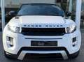 Land Rover Range Rover Evoque Coupé 2.2TD4 4WD Dynamic / Xenon / FULL OPTIONS Weiß - thumbnail 3