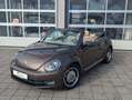 Volkswagen Beetle Cabriolet Design*DSG*1.Hd.Xenon*Navi* Brun - thumbnail 7