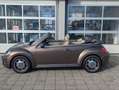 Volkswagen Beetle Cabriolet Design*DSG*1.Hd.Xenon*Navi* Brun - thumbnail 8