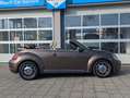 Volkswagen Beetle Cabriolet Design*DSG*1.Hd.Xenon*Navi* Brun - thumbnail 3