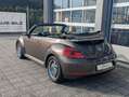 Volkswagen Beetle Cabriolet Design*DSG*1.Hd.Xenon*Navi* Brun - thumbnail 5