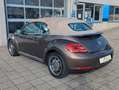 Volkswagen Beetle Cabriolet Design*DSG*1.Hd.Xenon*Navi* Brun - thumbnail 25