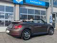 Volkswagen Beetle Cabriolet Design*DSG*1.Hd.Xenon*Navi* Brun - thumbnail 4