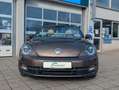 Volkswagen Beetle Cabriolet Design*DSG*1.Hd.Xenon*Navi* Brun - thumbnail 6