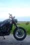 Benelli Leoncino 500 Trail Scrambler Schwarz - thumbnail 5