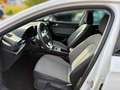 SEAT Leon ST Style 1.0 TSI PDC FullLink ACC Klimaa. Weiß - thumbnail 10