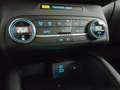 Ford Kuga 1.5 ecoblue ST-Line 2wd 120cv auto Gris - thumbnail 14