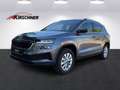 Skoda Karoq 1,0 TSI Selection Grau - thumbnail 1