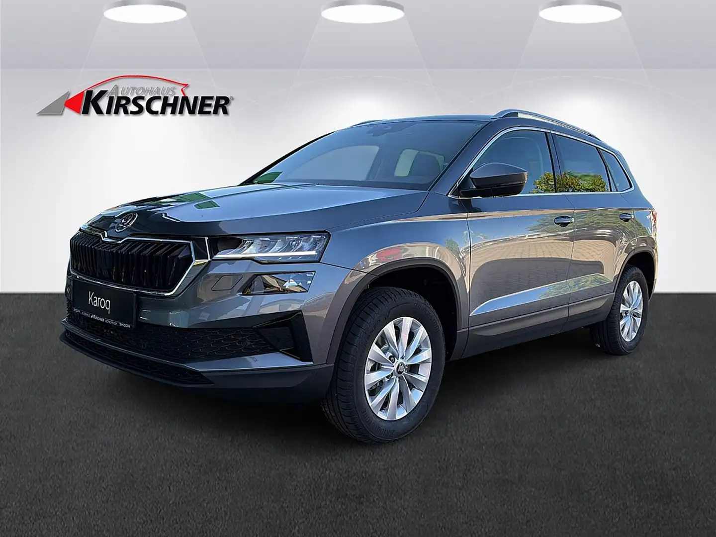 Skoda Karoq 1,0 TSI Selection Grau - 1