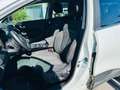 Renault Kadjar Blue dCi 8V 115CV EDC Sport Edition Bianco - thumbnail 7