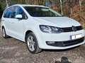 Volkswagen Sharan Business+ 2,0 TDI DSG 4Motion XENON AHK Panorama Weiß - thumbnail 6