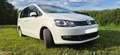 Volkswagen Sharan Business+ 2,0 TDI DSG 4Motion XENON AHK Panorama Weiß - thumbnail 7