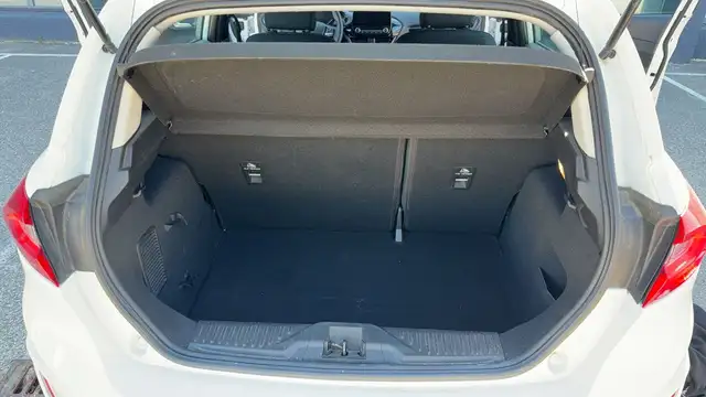 Ford Fiesta view 14