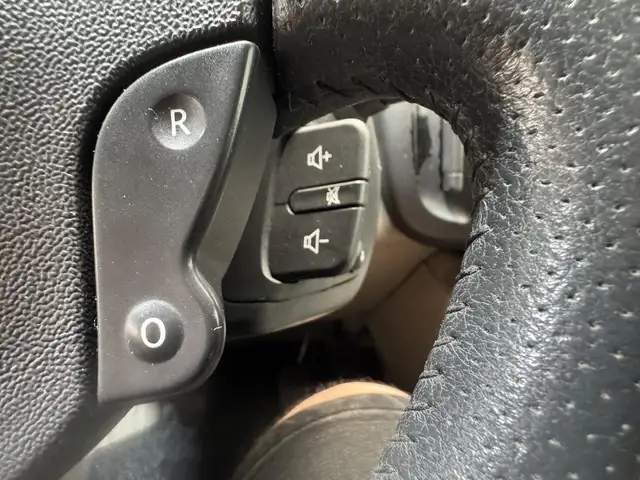 Renault Grand Scenic view 14