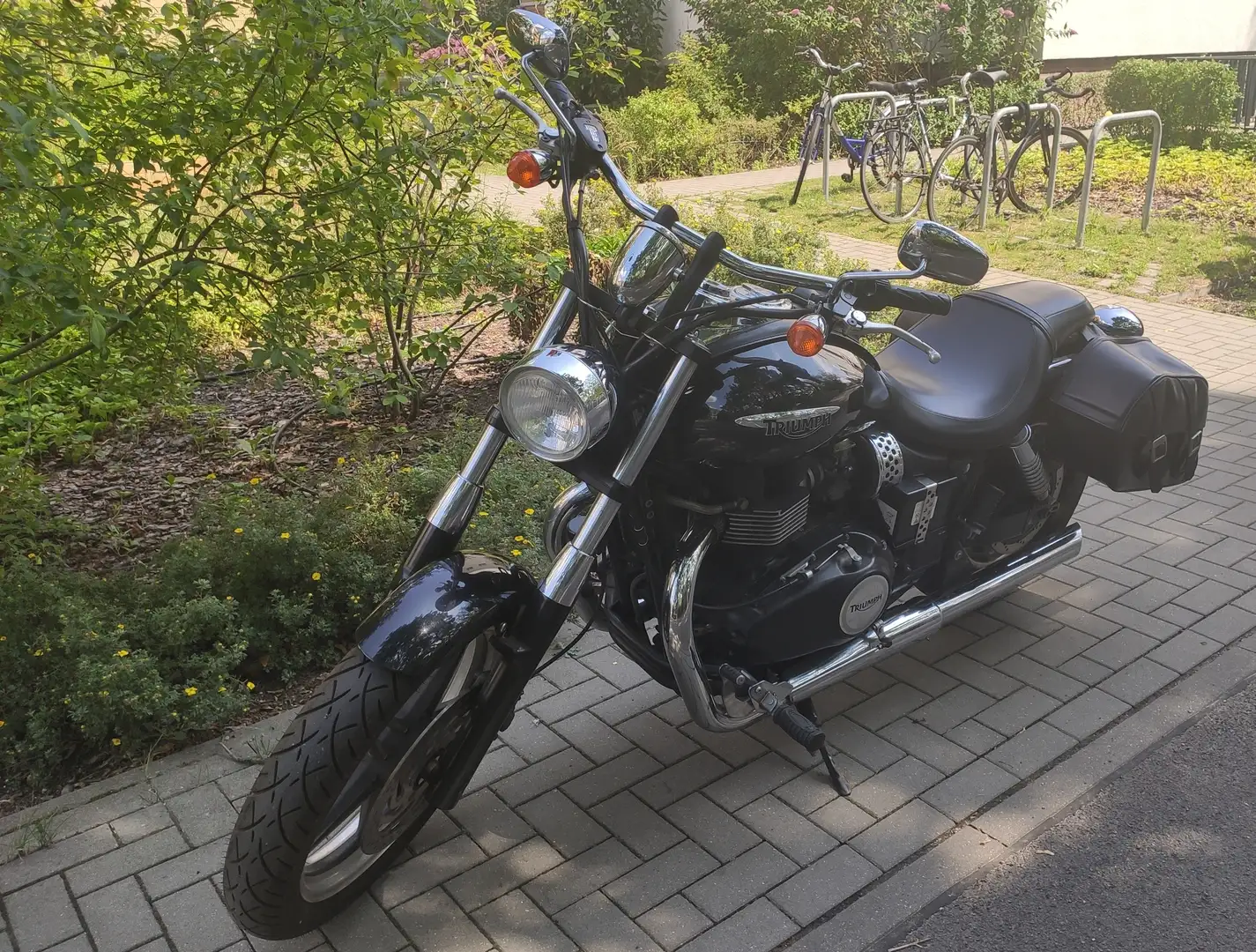 Triumph Speedmaster mit Satteltaschen, Tankschoner, Lederjacke (M) etc. - 1