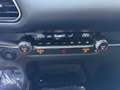 Mazda CX-30 e-SKYACTIV-G 140 Homura Gris - thumbnail 19