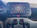 Fiat Panda 1.0 firefly hybrid City Cross s&s 70cv Grigio - thumbnail 14