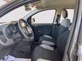 Fiat Panda 1.0 firefly hybrid City Cross s&s 70cv Grigio - thumbnail 9