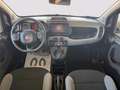 Fiat Panda 1.0 firefly hybrid City Cross s&s 70cv Grigio - thumbnail 12