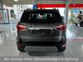 Ford EcoSport Titanium X*1.Hand*Schiebedach*R-Kamera* Grijs - thumbnail 6