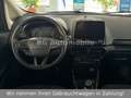 Ford EcoSport Titanium X*1.Hand*Schiebedach*R-Kamera* Grijs - thumbnail 13