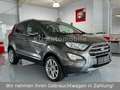 Ford EcoSport Titanium X*1.Hand*Schiebedach*R-Kamera* Grijs - thumbnail 3