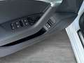 Audi A6 50 HYBRID Q. S LINE PANO LEDER ALU21 NAVI Blanco - thumbnail 19