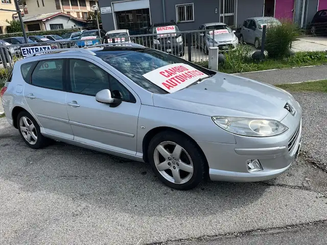 Peugeot 407 407 SW 2.0 hdi 16v Business Ciel 163cv auto