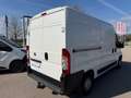 Fiat Ducato 2,3l*L2H2*Pickerl NEU 06/27*AHK*Klima* Weiß - thumbnail 4