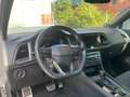 CUPRA Ateca 4Drive Beats Alcantara CarPlay Gris - thumbnail 9