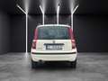 Fiat New Panda 1.Hand~erst 15.171 km~Klima~TOP gepfle Weiß - thumbnail 6