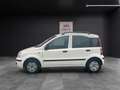 Fiat New Panda 1.Hand~erst 15.171 km~Klima~TOP gepfle Weiß - thumbnail 4