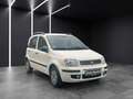 Fiat New Panda 1.Hand~erst 15.171 km~Klima~TOP gepfle Weiß - thumbnail 1