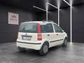 Fiat New Panda 1.Hand~erst 15.171 km~Klima~TOP gepfle Weiß - thumbnail 7
